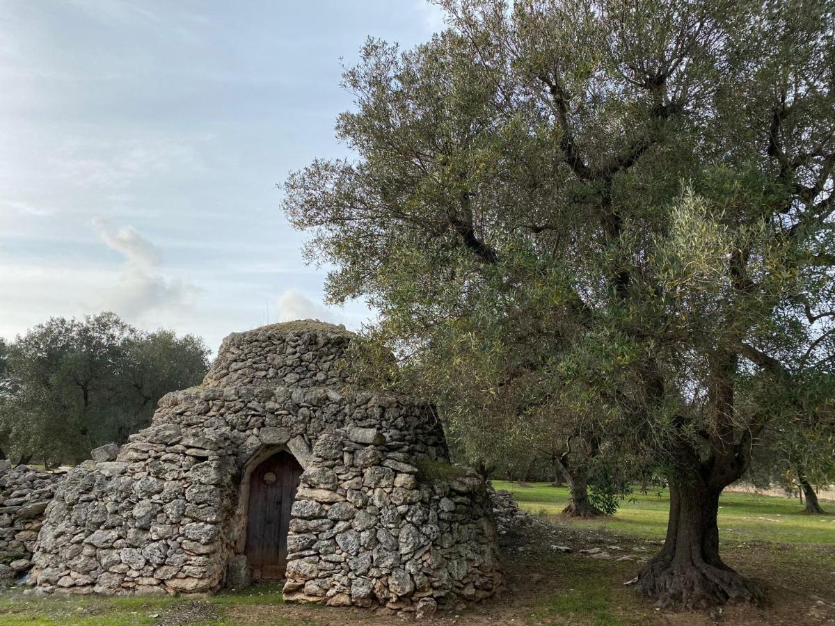 Casa Vacanze Lisa Torre Ovo Exterior foto